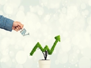 苏宁易购拟四元出售四家子公司，重塑零售版图背后的战略考量